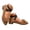 Brown, variant on Women's Dress Flats Pointed Toe Low Chunky Heel Mary Jane Elastic Crisscross Strap Slip On Ballet Shoes for Work Walking Brown 7.5