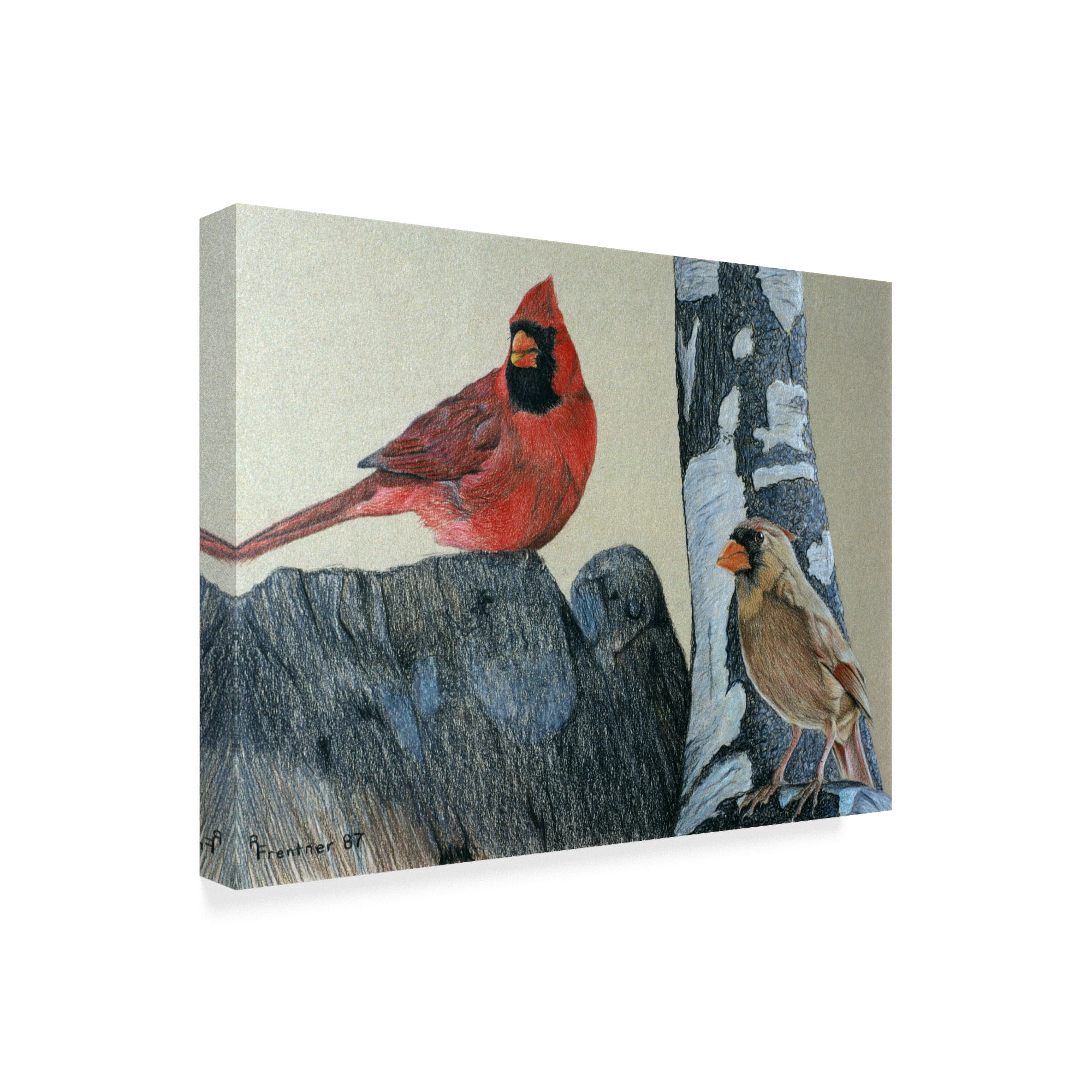 Trademark Fine Art 'Two Cardinals' Canvas Art by Rusty Frentner