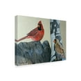 thumbnail image 2 of Trademark Fine Art 'Two Cardinals' Canvas Art by Rusty Frentner, 2 of 3