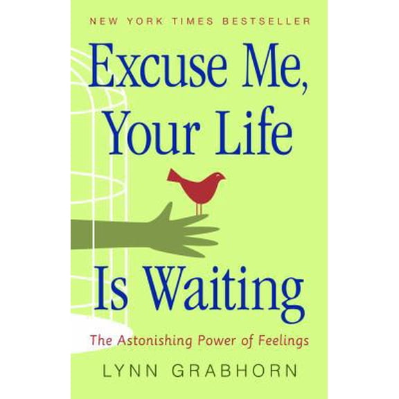 Pre-Owned Excuse Me, Your Life Is Waiting: The Astonishing Power of Feelings (Paperback) 1571743812 9781571743817