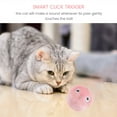 thumbnail image 3 of Fluffy Plush Cat Toy Balls Interactive Chirping Balls with 3 Lifelike Animal Chirping Sounds Frog Cricket Bird Kitten Refillable Catnip Toys Cat Kicker Toys for Indoor Cats Exercise, 3 of 7