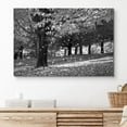 thumbnail image 2 of PixonSign Canvas Print Wall Art Tree Sheds Leaves in Forest Nature Wilderness Photography Modern Art Contemporary Landscape Dramatic Dark Black and White for Living Room, Bedroom, Office - 24x36, 2 of 5