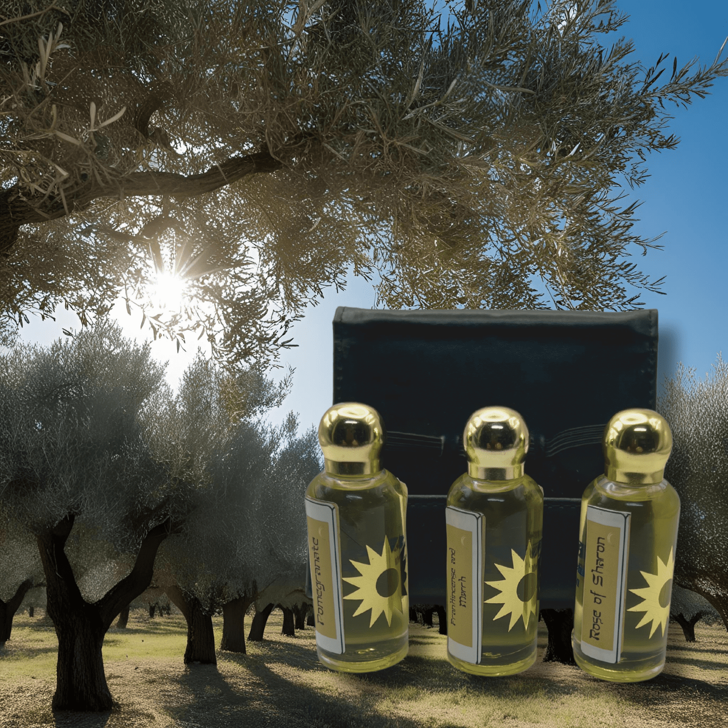 3 Arches USA Holy Land Anointing Oil Set - Frankincense & Myrrh, Rose of Sharon & Pomegranate - 0.6 fl.oz Each Bottle in Leather Case - Made in Bethlehem with Virgin Olive Oil