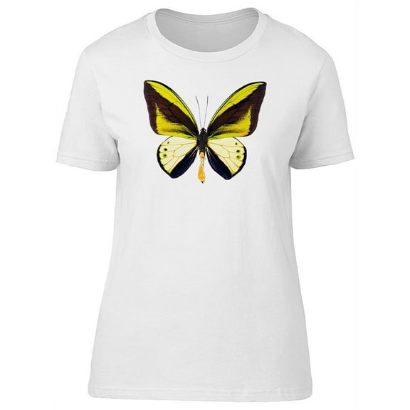 Ornithoptera Goliath Butterfly T-Shirt Women -Image by Shutterstock, Female Large