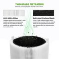 thumbnail image 3 of Blueair Blue Pure 411/411+ & 3210 Replacement Air Purifier Filter with Activated Carbon, 3 of 5