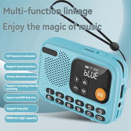 Portable FM Radio Wireless Bluetooth Speaker Recorder with LED Screen Support TF Card U Disk for Home Outdoor B