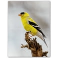 thumbnail image 1 of Picture-Tiles.com: Bird Ceramic Tile Wall Mural WAL500167-34L. 24"W x 32"H using (12) 8" x 8" Ceramic Tiles-Satin Finish, 1 of 3