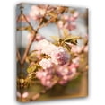 thumbnail image 1 of Karyn Millet 23x32 Gallery Wrapped Canvas Wall Art Titled - Spring Blossoms IV, 1 of 4