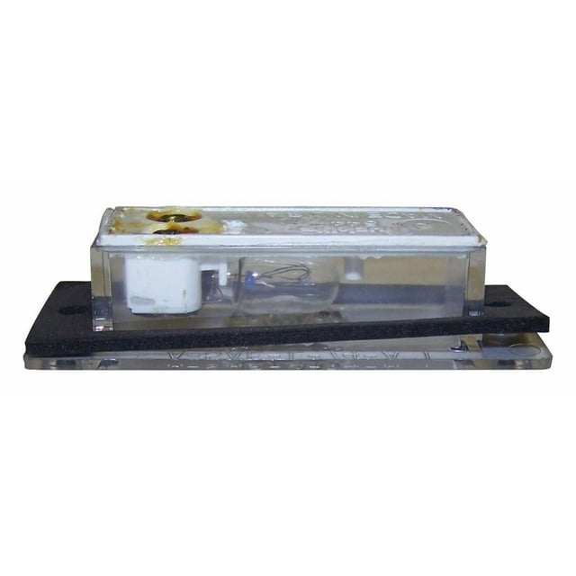 Crown Automotive License Plate Light J3670544 OE Replacement; Black