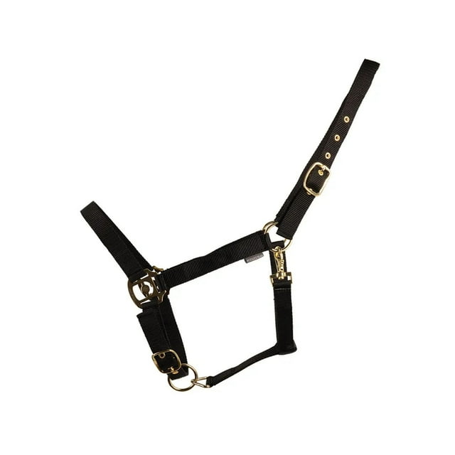 HYCONIC Collier de Cheval