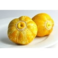 thumbnail image 1 of Lemon Cucumber Seeds,125 Heirloom Seeds Per Packet, Non GMO Seeds, 1 of 4