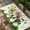 Green Beige, variant on St. Patrick's Day Table Cloths for 4 Foot Rectangle Tables, Green Gnomes Shamrock Gold Coin Wood Grain Patio Waterproof Elastic Fitted Tablecloths, Washable Rectangular Table Cover for Camping