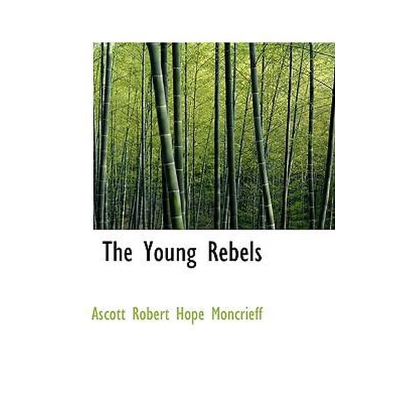 The Young Rebels Hardcover
