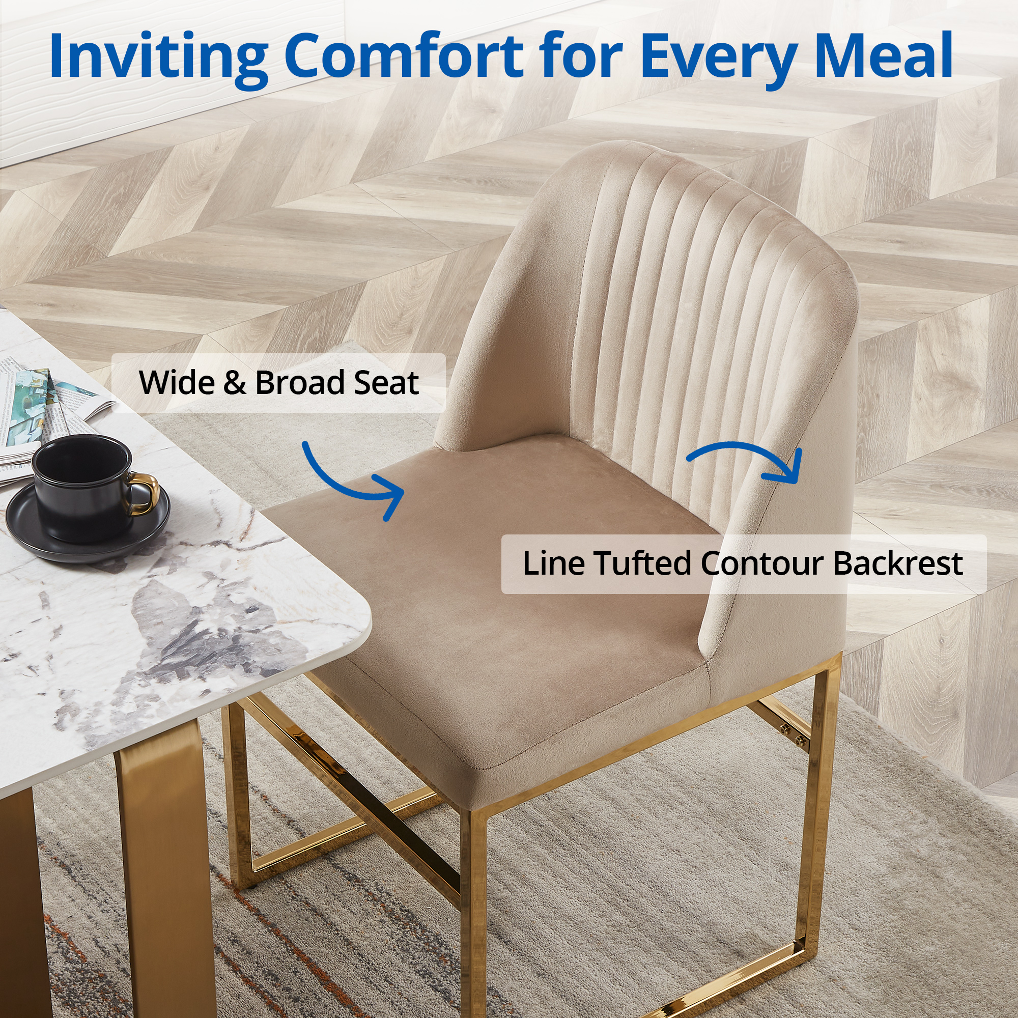 Classic Café Dining Chair Cushion (Set of 2)