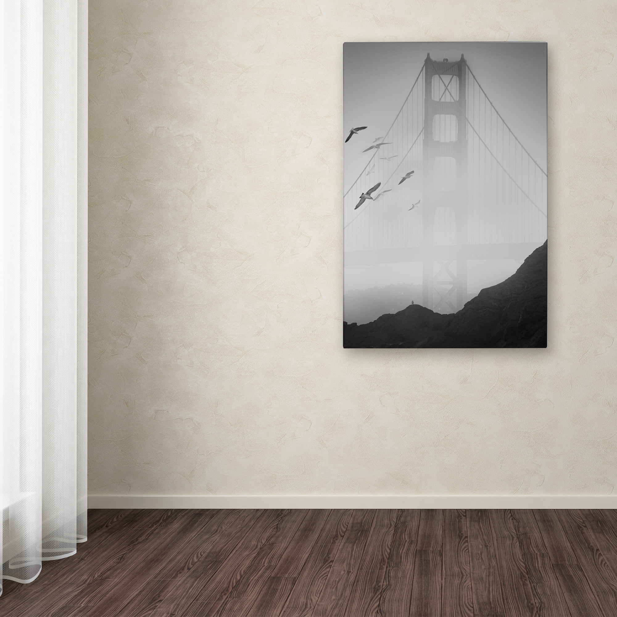Trademark Fine Art "Golden Gate Pier and Birds I" Canvas Art by Moises Levy