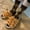 Orange#81, variant on Women's Winter Warm Plush Giraffe Slippers, Cozy Fuzzy Indoor/Outdoor House Shoes with Non-Slip Sole, Comfortable Casual Slip-Ons for Home Use, Sizes EU36-39/UK3.5-7