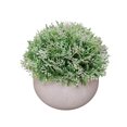 thumbnail image 1 of Bola de hierba artificial en maceta, simulación de hierba, decoración de plantas, decoración de la mesa de la oficina en casa, hierba tipo 4, blanco Advancent HA7593-11B, 1 of 6
