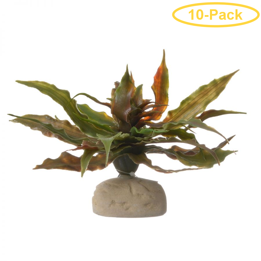 Exo Terra Desert Star Cactus Terrarium Plant 1 Pack Pack Of 10 Walmart Com Walmart Com