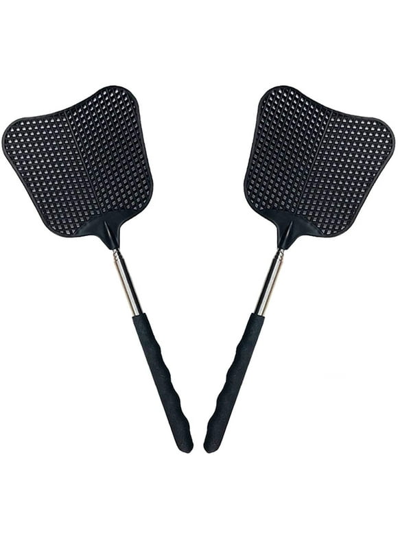 Fly Swatter in Pest Control