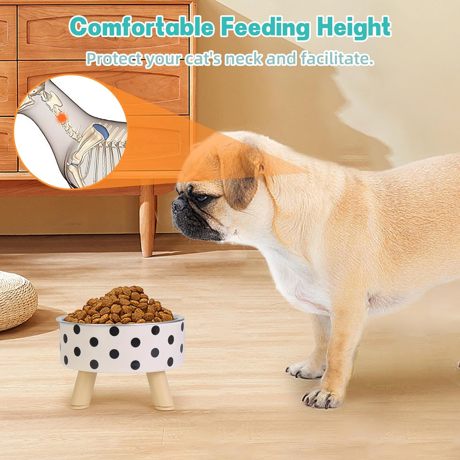 Flantor Elevated Stainless Steel Pet Bowl Set, 2-Piece photo 7