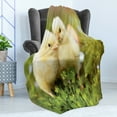 thumbnail image 4 of Chicks Soft Flannel Fleece Throw Blanket, Photo of Little Chickens on Clovers with Blurry Backdrop Easter Eggs, Cozy Plush for Indoor and Outdoor Use, 70" x 90", Pale Yellow Fern Green, by Ambesonne, 4 of 5