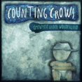 thumbnail image 1 of Counting Crows - Somewhere Under Wonderland (vinyl), 1 of 1