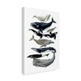 thumbnail image 2 of Trademark Fine Art 'Whale Display I' Canvas Art by Naomi McCavitt, 2 of 4