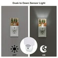 thumbnail image 3 of Cauagu Holiday Christmas Stars Print LED Nightlight,0.5W Night Lights Plug into Wall 1 Pack with Dusk-to-Dawn Light Sensor Soft Glow Lamp for Bathroom Adult Hallway-US, 3 of 7