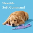 thumbnail image 4 of Vibrant Life 6' Neoprene Cushioned Leash, Lavender, M/L, 4 of 10