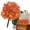 Orange-A, variant on Fall Garden Stakes Outdoor, Orange Pumpkin Accent Artificial Flowers Halloween 22.04in Height Thanksgiving Lawn Decor for Yard Pathway Planter Porch Fall Harvest Landscape Stake Ornament
