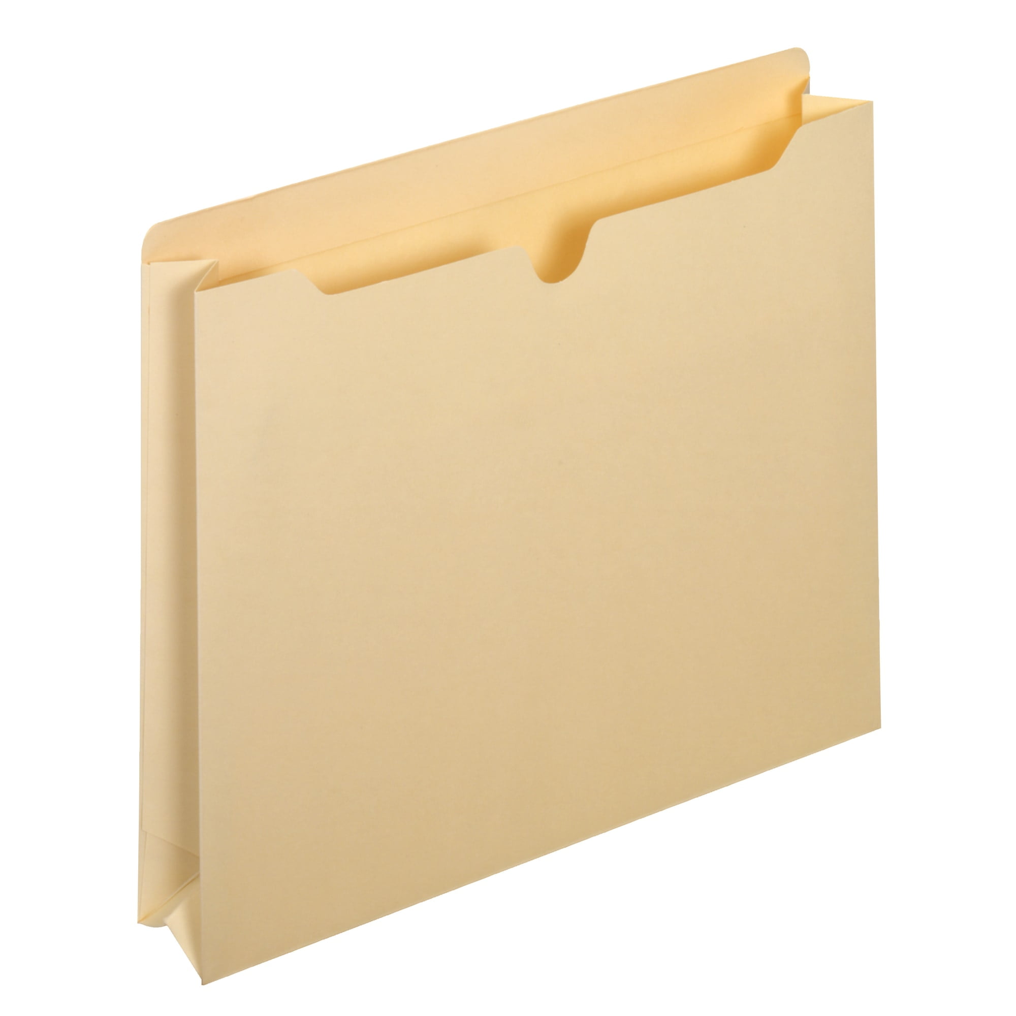 GlobeWeis 30359 100 Recycled Manila File Jacket, 2Inch Expansion