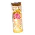 thumbnail image 2 of Regalo de San Valentín con flores preservadas para la boda de Navidad Estilo D, 2 of 9