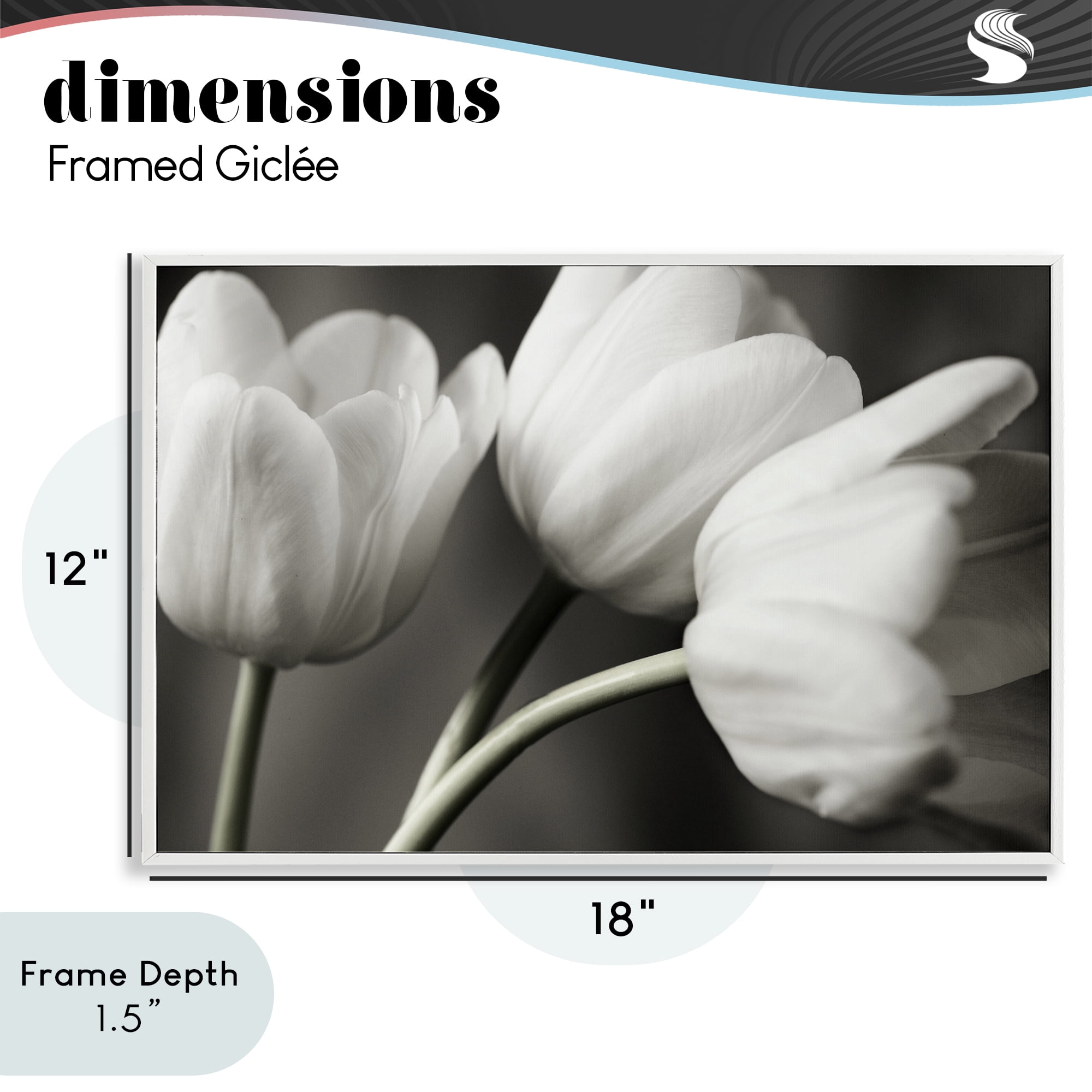 Stupell Industries Row Of Monochrome Tulips White Framed Giclee Art, design by Tom Quartermaine