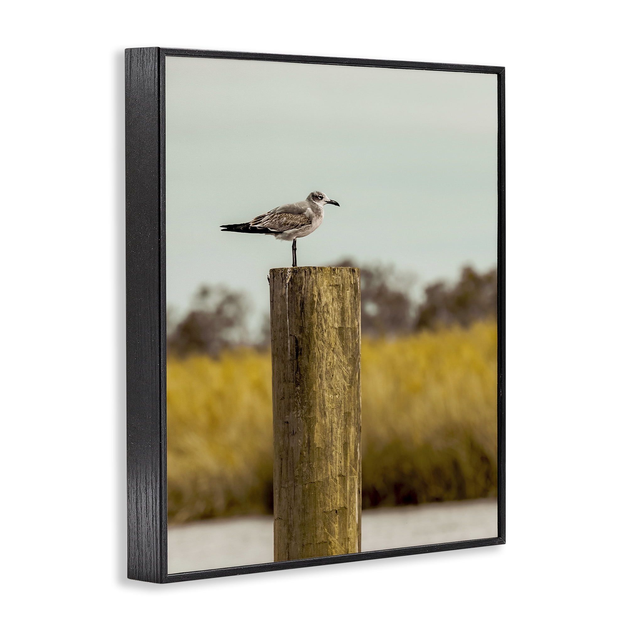 Stupell Industries Gull On Piling Black Framed Giclee Art, design by Christy Berry