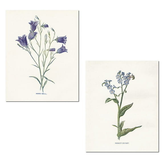 Off-White and Purple Old-Fashioned Botanical Adult Floral Decor; 2 - 11" x 14" Unframed Posters