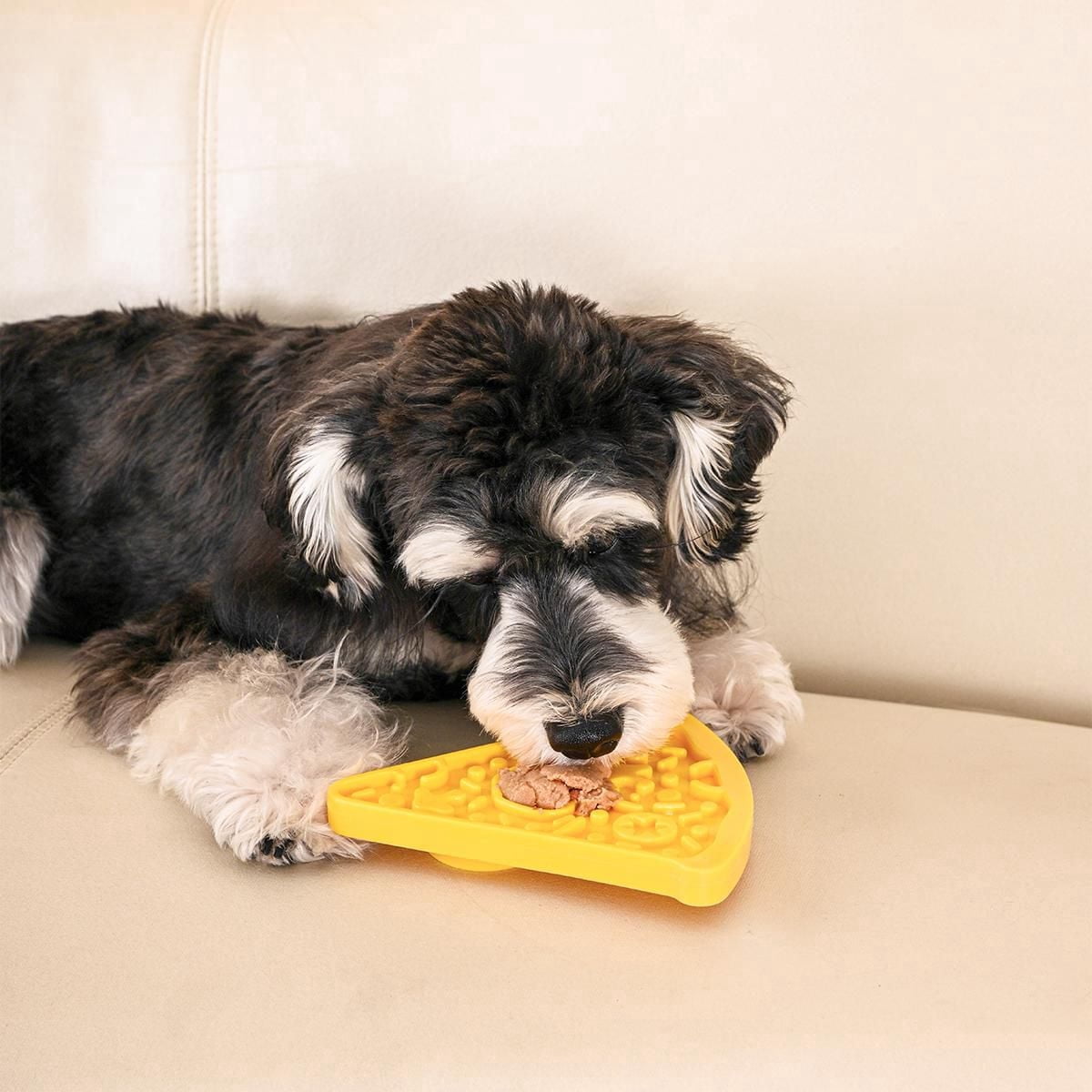 Hugsmart Pizza Slow Feeder Dog Bowl