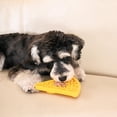 thumbnail image 2 of Hugsmart Pizza Slow Feeder Dog Bowl, 2 of 4