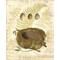 thumbnail image 2 of Vision Studio 26x32 Black Ornate Wood Framed with Double Matting Museum Art Print Titled - Melodic Nest and Eggs I, 2 of 4