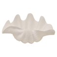thumbnail image 1 of Plutus Brands PBTH94597 Resin Decorative Clamshell Bowl, White, 1 of 1