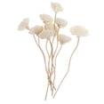 thumbnail image 3 of White Synthetic Aroma Diffusers for Home Use Essential Oil Sticks Dried Flower Decor 9pcs, 3 of 7