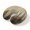 BurlyWood, variant on Neck Pillow Ergonomic Memory Foam U Shaped Pillows,Blue Anchor Paddle Sailboat Lighthouse Tree Soft Portable Neck Head Support Cushion Pillow for Travel Airplane Car Office Use,Ocean Fish