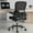 Black, variant on Toauuo Office Chair, Mesh Ergonomic Desk Chair with Lumbar Support, Flip-Up Armrests & Rolling Wheels, 350LBS Capacity, Breathable Padded Seat, Tilt & Height Adjust for Home Study Room Office