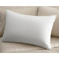 thumbnail image 3 of Coolmax Moisture Wicking Cotton Pillow (Set of 2), 3 of 3