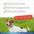 thumbnail image 2 of Adams Plus Flea  Tick Collar for Large Dogs  Puppies, 2 of 11