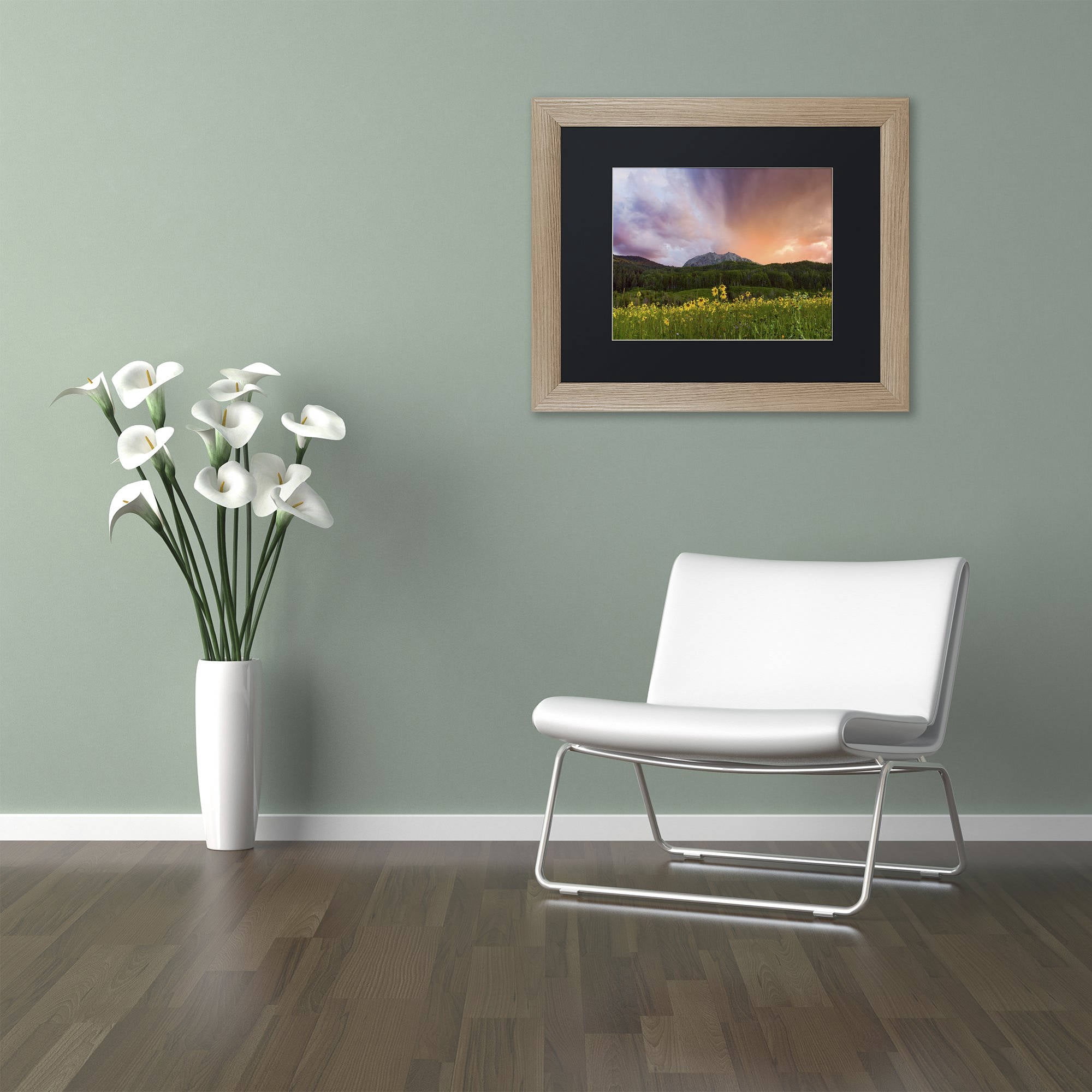 Trademark Fine Art "The Rain Cometh" Canvas Art by Michael Blanchette Photography Black Matte, Birch Frame