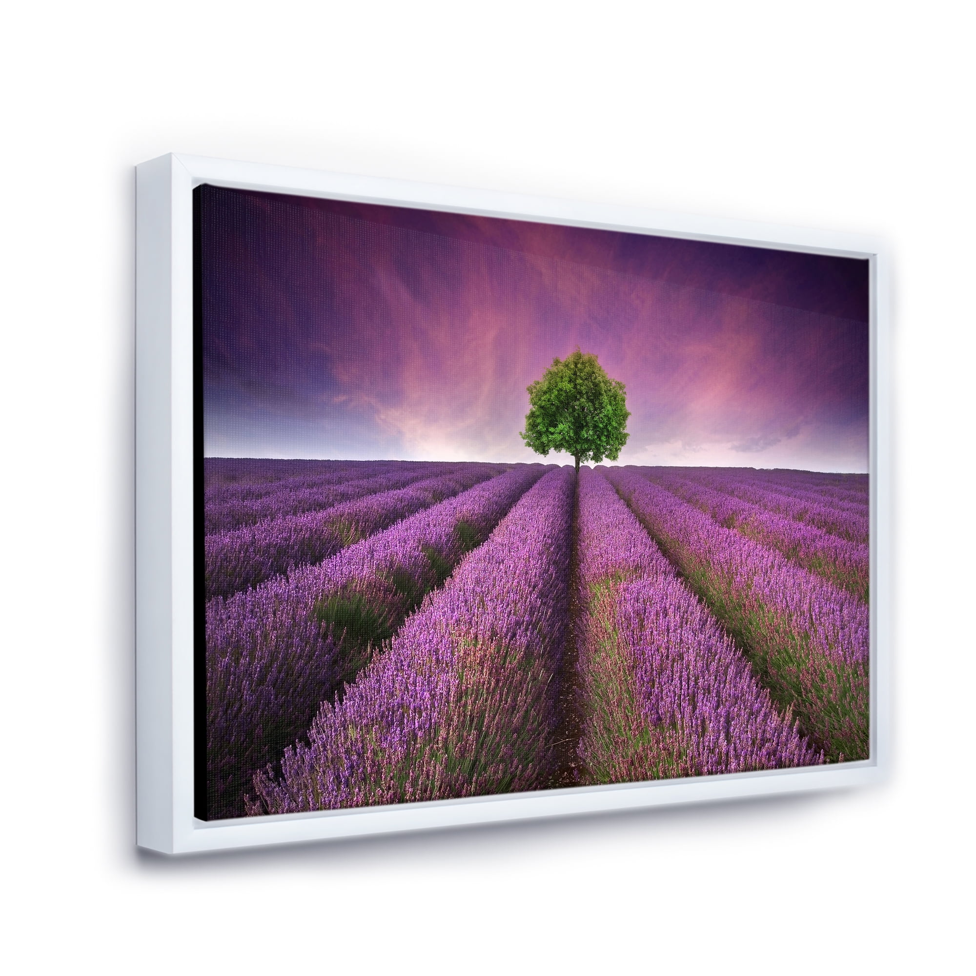 Designart 'Tree With Stunning Lavender Field Summer Sunset' Farmhouse Framed Canvas Wall Art Print