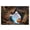 A, variant on Nnndbs Halloween Optical Illusion Rug, 3D Visual Trap Floor Mat, Non Scary Carpet for Entryway Living Room Home Halloween Decor