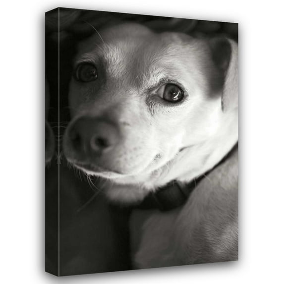 Karyn Millet 17x24 Gallery Wrapped Canvas Wall Art Titled - Second Glance