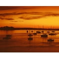 thumbnail image 2 of Terrill, Steve 18x15 White Modern Wood Framed Museum Art Print Titled - ME, Camden Sailboats silhouetted at sunrise, 2 of 4