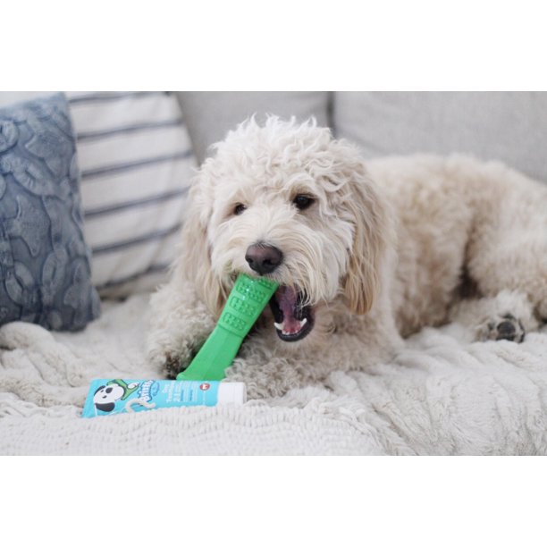 Bristly Brushing Stick Medium Dog DIY Toothbrush and Dog Dental Chews Most Effective Dog